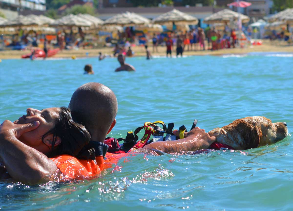 Bagni al mare sicuri: le 40 spiagge sorvegliate nei week end dai cani bagnino Bagni al mare sicuri: le 40 spiagge sorvegliate nei week end dai cani bagnino