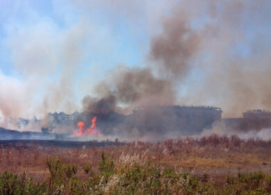 Incendi, bruciano Tor Vergata e Casal Lumbroso: allarme della Protezione Civile