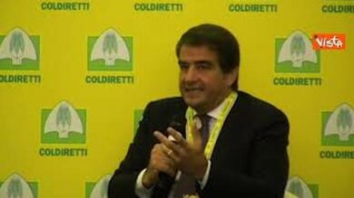 Fitto: “Le politiche ambientali siano più flessibili per la competitività delle imprese”