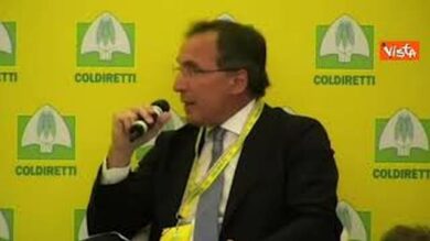 Boccia: “La scelta di Fdi e Lega di non sostenere Von Der Leyen va contro gli interessi italiani”