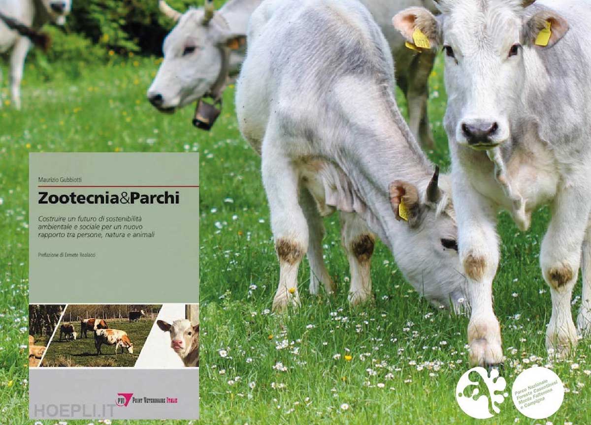 Parchi e agricoltura, insieme si può: il libro di Gubbiotti smentisce l’impossibile coesistenza Parchi e agricoltura, insieme si può: il libro di Gubbiotti smentisce l’impossibile coesistenza