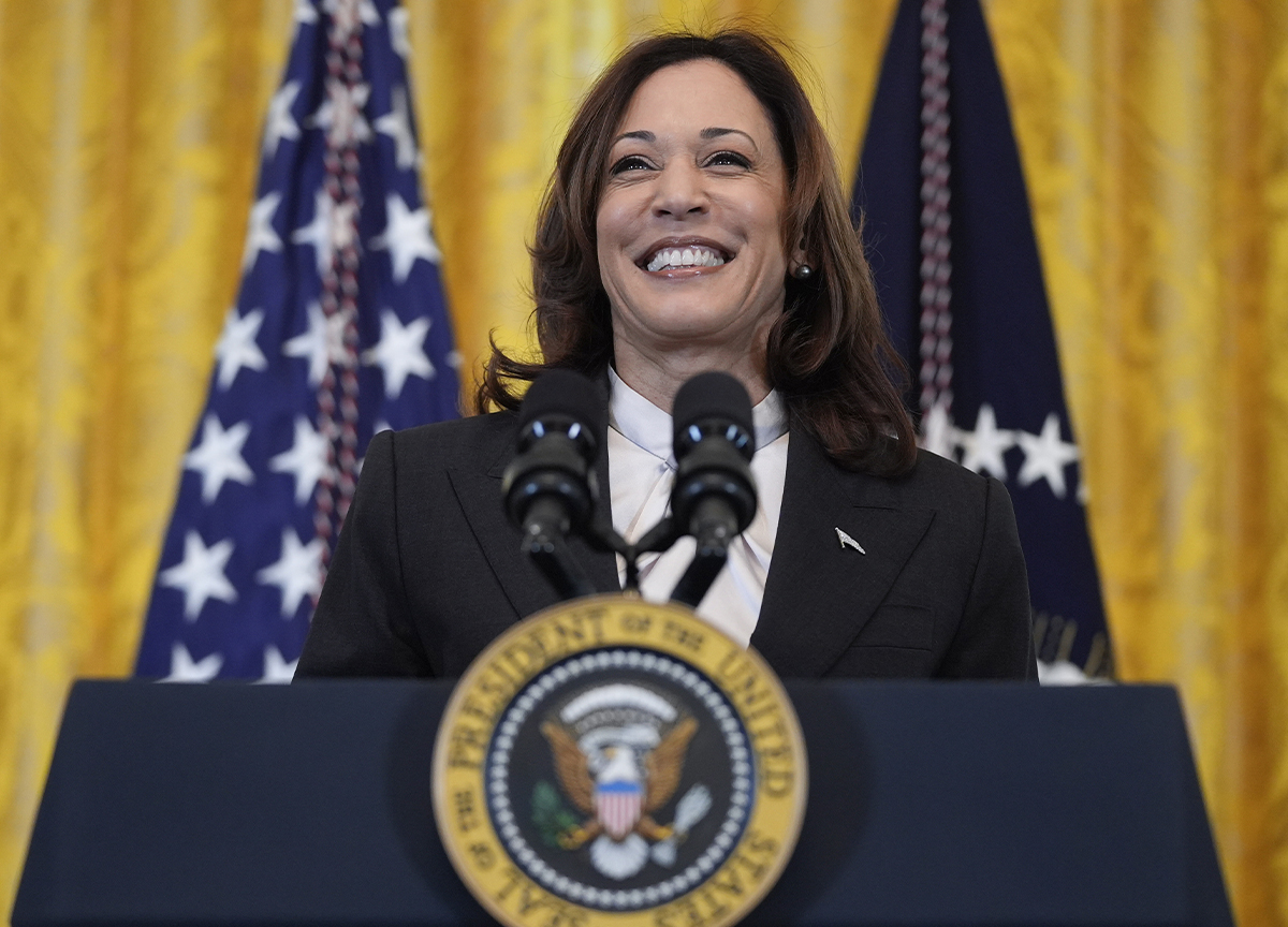 Chi è Kamala Harris, la vice di Biden che potrebbe diventare Presidente degli Stati Uniti Chi è Kamala Harris, la vice di Biden che potrebbe diventare Presidente degli Stati Uniti