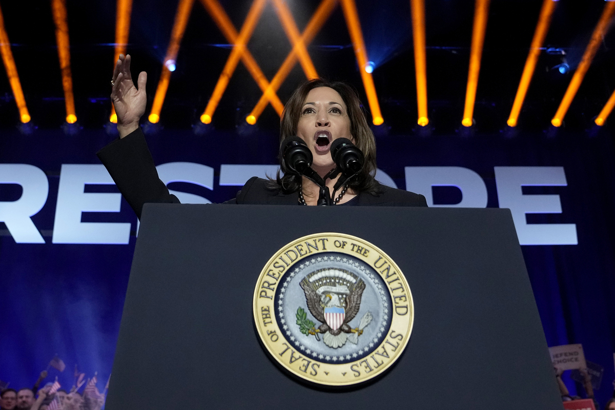 Chi è Kamala Harris, la vice di Biden che potrebbe diventare Presidente degli Stati Uniti Chi è Kamala Harris, la vice di Biden che potrebbe diventare Presidente degli Stati Uniti