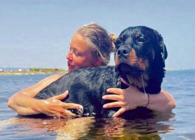 Balduina, sgrida il padrone del rottweiler: avvocato picchiato davanti ai figli
