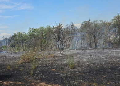 Parco degli Acquedotti, maxi rogo nell’area verde: bloccata anche la ferrovia