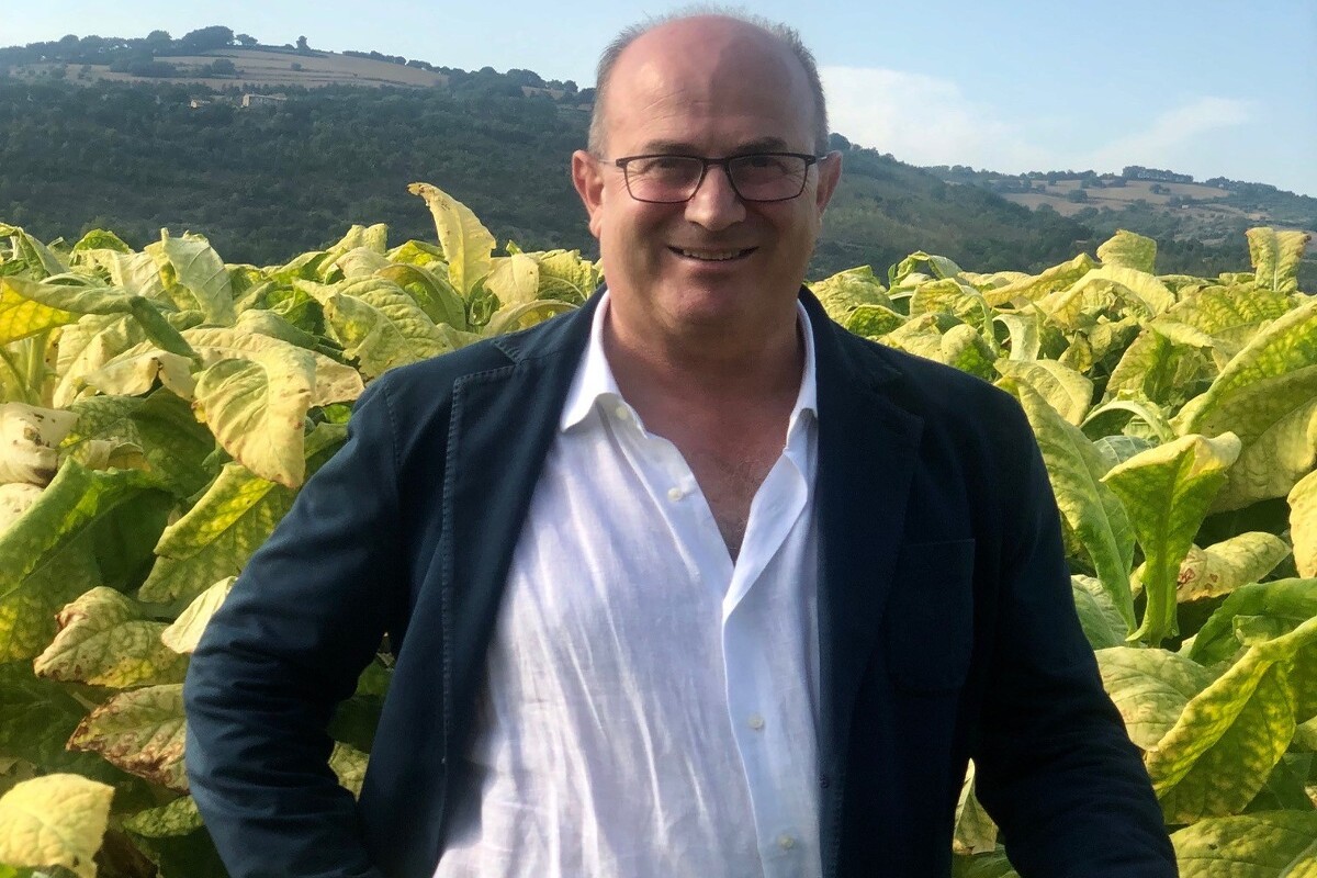 Nomisma: presentata l’indagine sulle competenze eco-energetiche delle imprese Nomisma: presentata l’indagine sulle competenze eco-energetiche delle imprese