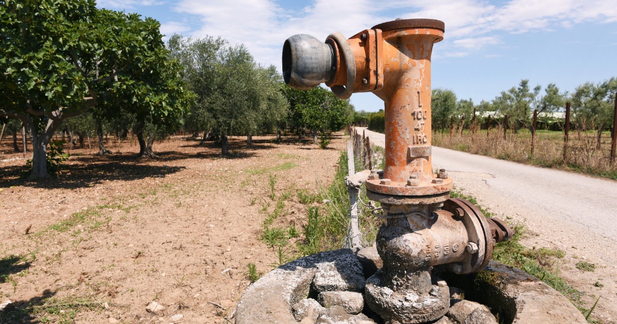Siccità, Geologi di Puglia: ‘Allarme per la crisi idrica’ Siccità, Geologi di Puglia: ‘Allarme per la crisi idrica’