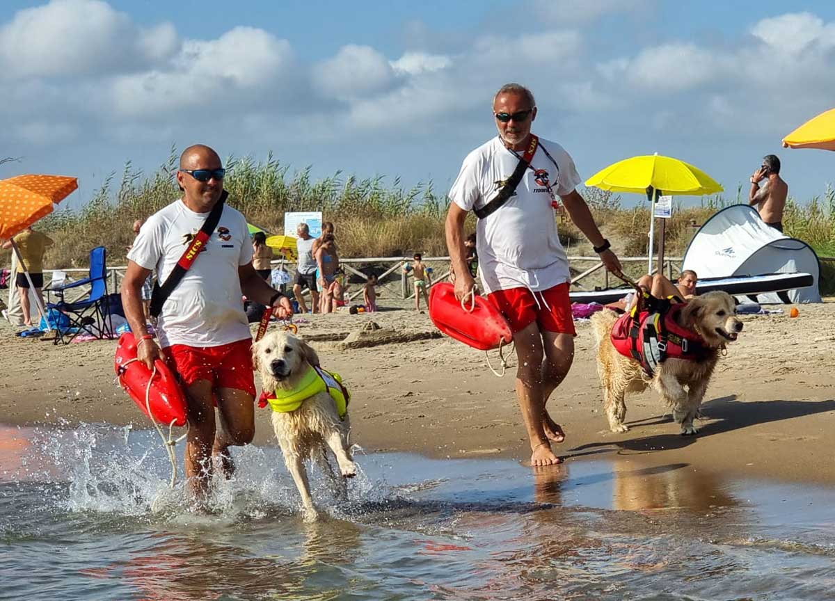 Chi getta mozziconi sulla spiaggia è un criminale. Cani bagnini e Marevivo uniti nella campagna