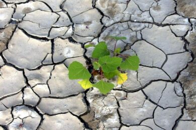 Siccità, Caporetto 2.0: Italia assetata e Centrosud senza più acqua. Ma gli sprechi sono ancora troppi