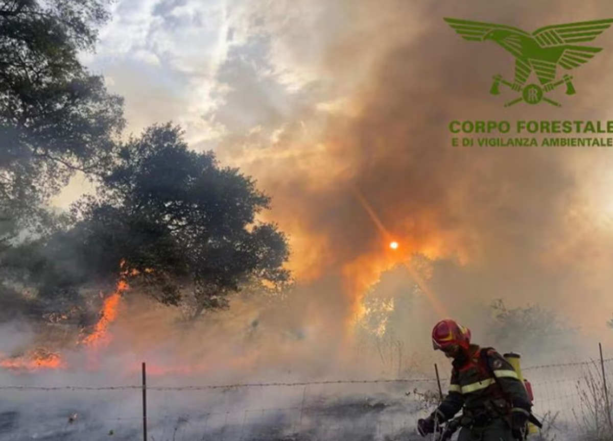 Galleria foto 'Incendi in Sardegna: 700 ettari di bosco divorati dalle fiamme. La Regione proclama lo stato di calamità per la siccità estrema' - foto 1