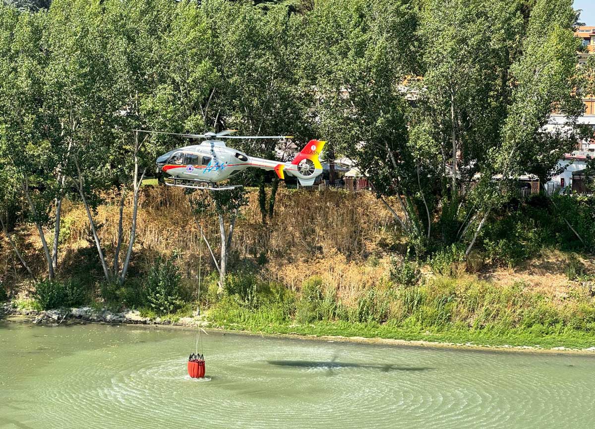 Roma brucia: Monte Mario devastato, fumo al Tribunale e evacuata la sede Rai. Sospesa l’Estate in diretta della De Girolamo Roma brucia: Monte Mario devastato, fumo al Tribunale e evacuata la sede Rai. Sospesa l’Estate in diretta della De Girolamo