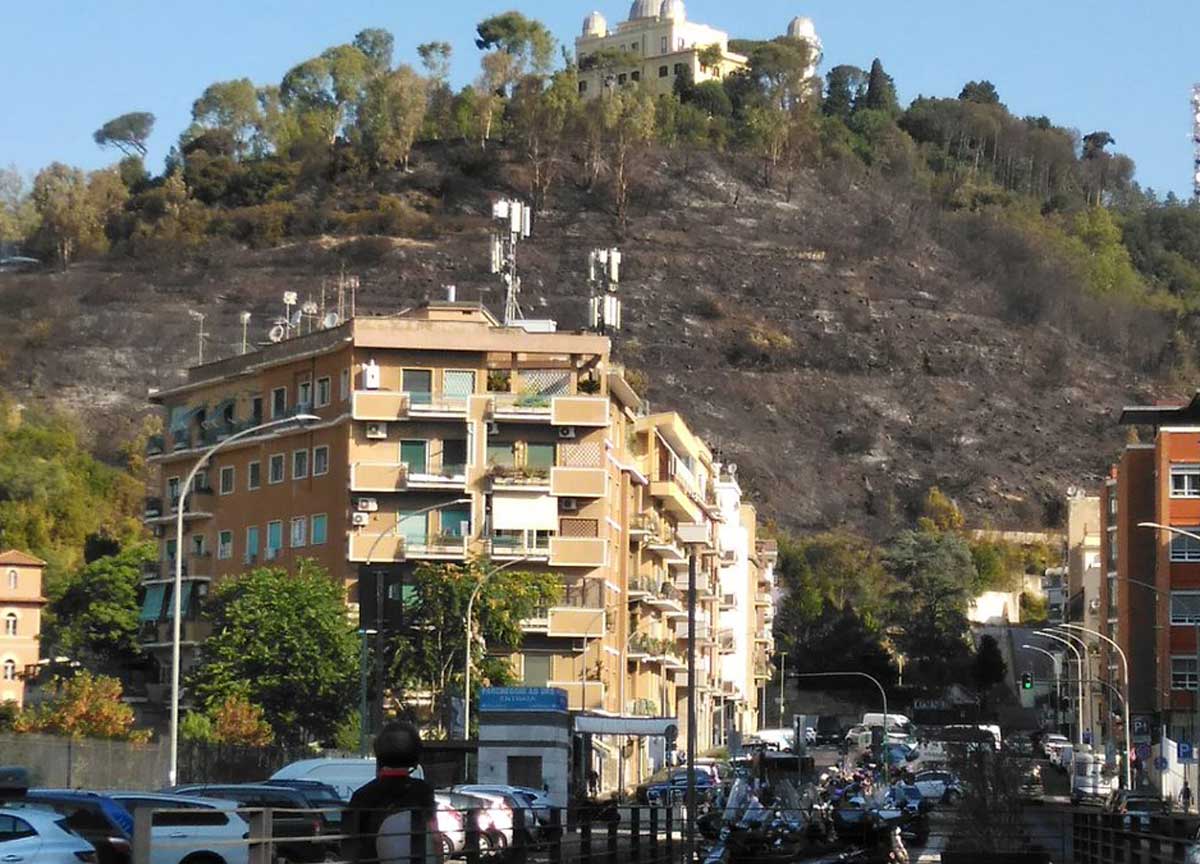Rogo Monte Mario spento all’alba ma la collina ha “fumato” per 18 lunghissime ore. Il video dei residenti Rogo Monte Mario spento all’alba ma la collina ha “fumato” per 18 lunghissime ore. Il video dei residenti