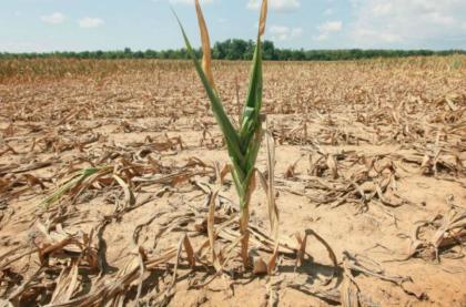 Siccità: Coldiretti Puglia, chiusura della Diga di Occhito