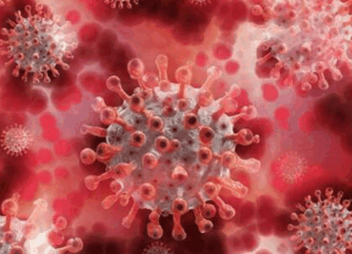 Covid, torna l’ incubo pandemia: la variante Xec approda in Italia e Europa