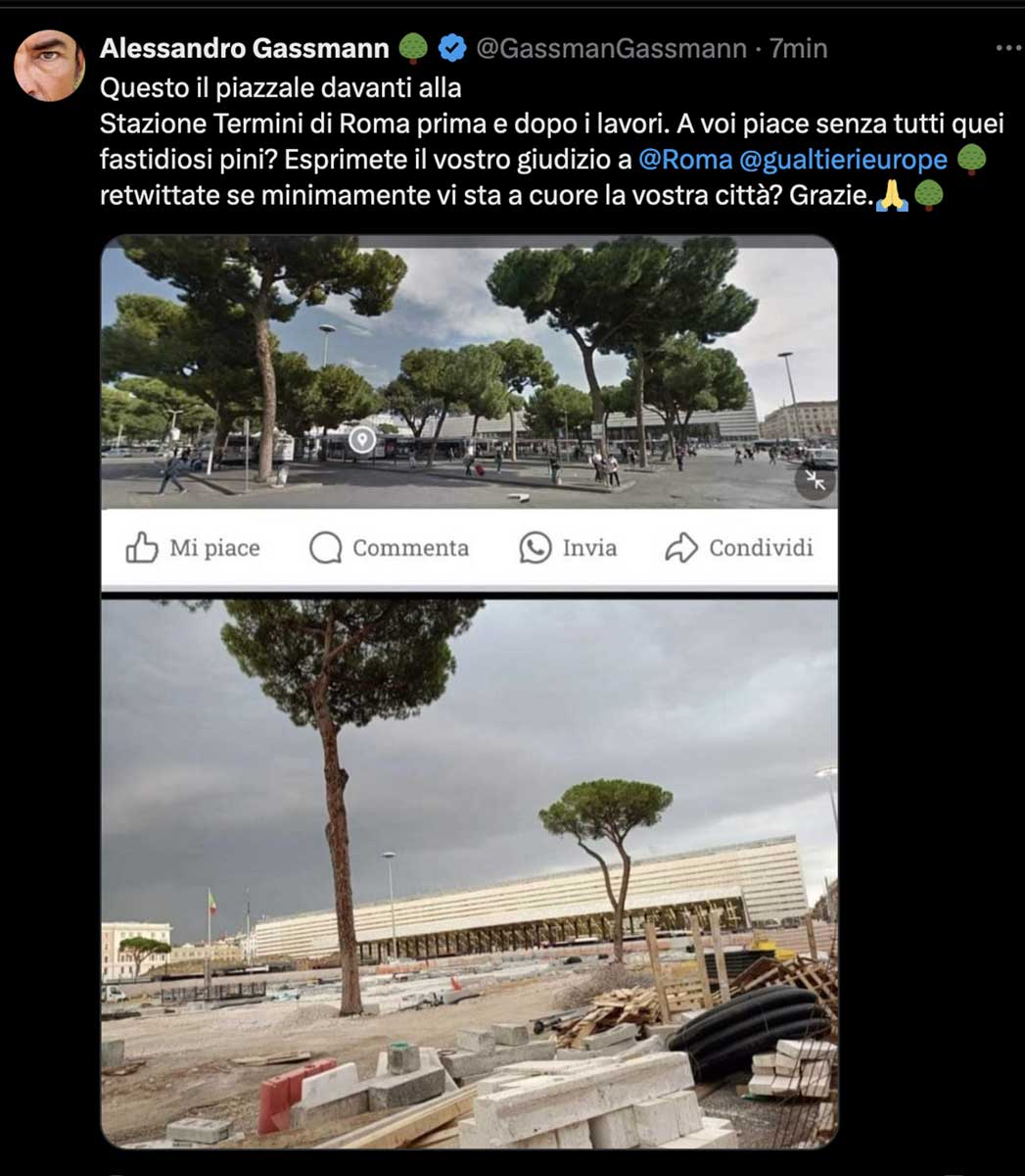 Cantieri, rifiuti e degrado: a Roma rivolta vip. Gassmann contro i lavori alla stazione Termini: “E gli alberi”? Cantieri, rifiuti e degrado: a Roma rivolta vip. Gassmann contro i lavori alla stazione Termini: “E gli alberi”?