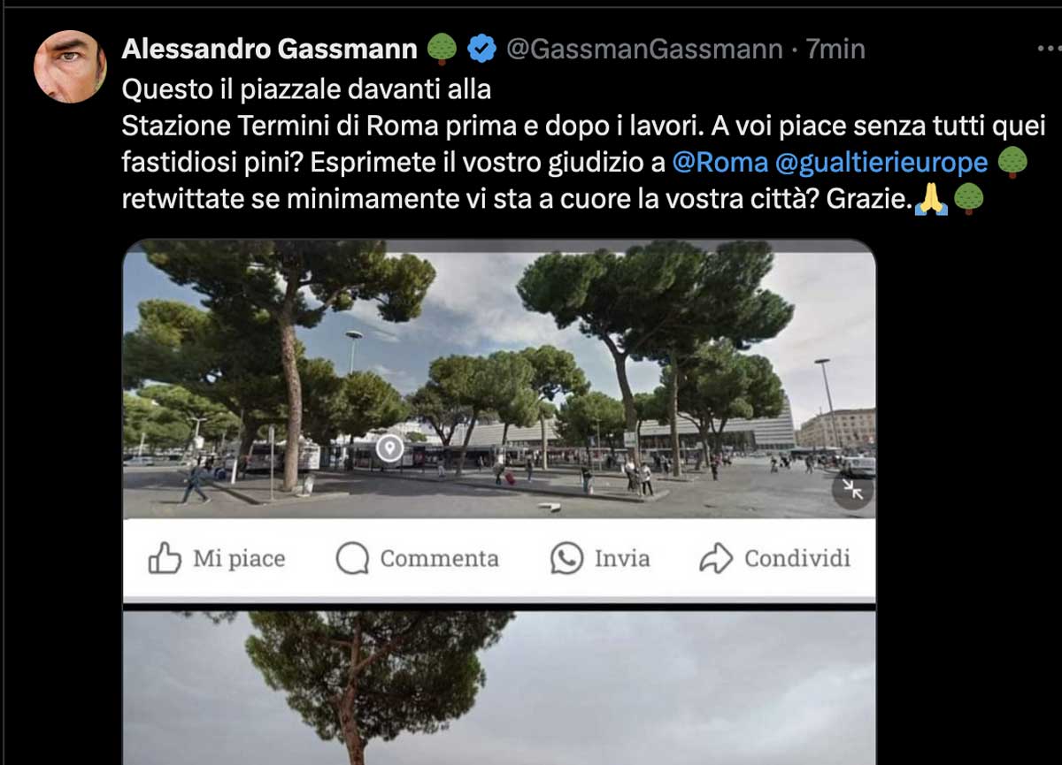 Cantieri, rifiuti e degrado: a Roma rivolta vip. Gassmann contro i lavori alla stazione Termini: “E gli alberi”? Cantieri, rifiuti e degrado: a Roma rivolta vip. Gassmann contro i lavori alla stazione Termini: “E gli alberi”?