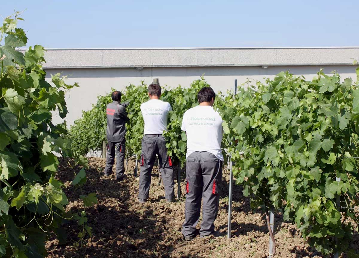 Papa Francesco mette i detenuti a lavorare: Giubileo, ecco i volontari per parchi, musei e accoglienza