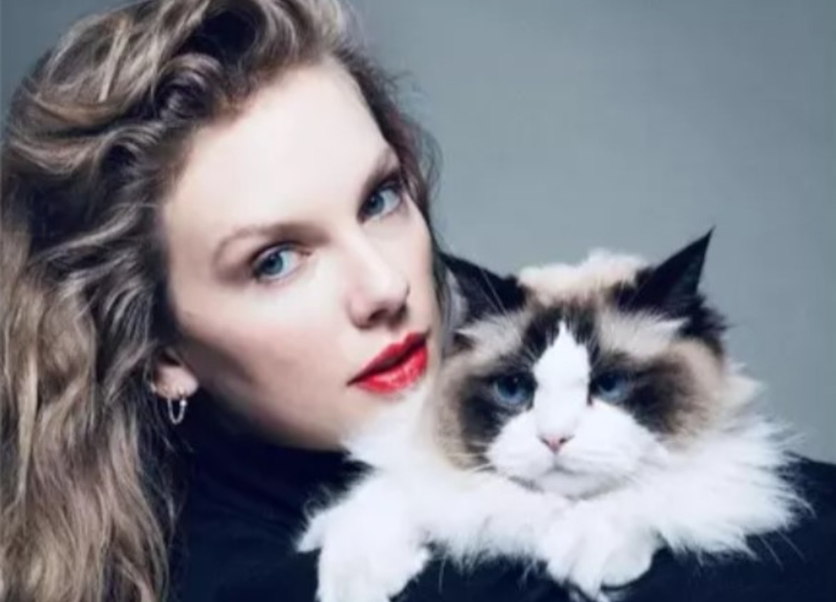 Usa 2024, Taylor Swift si schiera: “Voterò la Harris”. Poi la frecciata a Trump: la foto col gatto Usa 2024, Taylor Swift si schiera: “Voterò la Harris”. Poi la frecciata a Trump: la foto col gatto