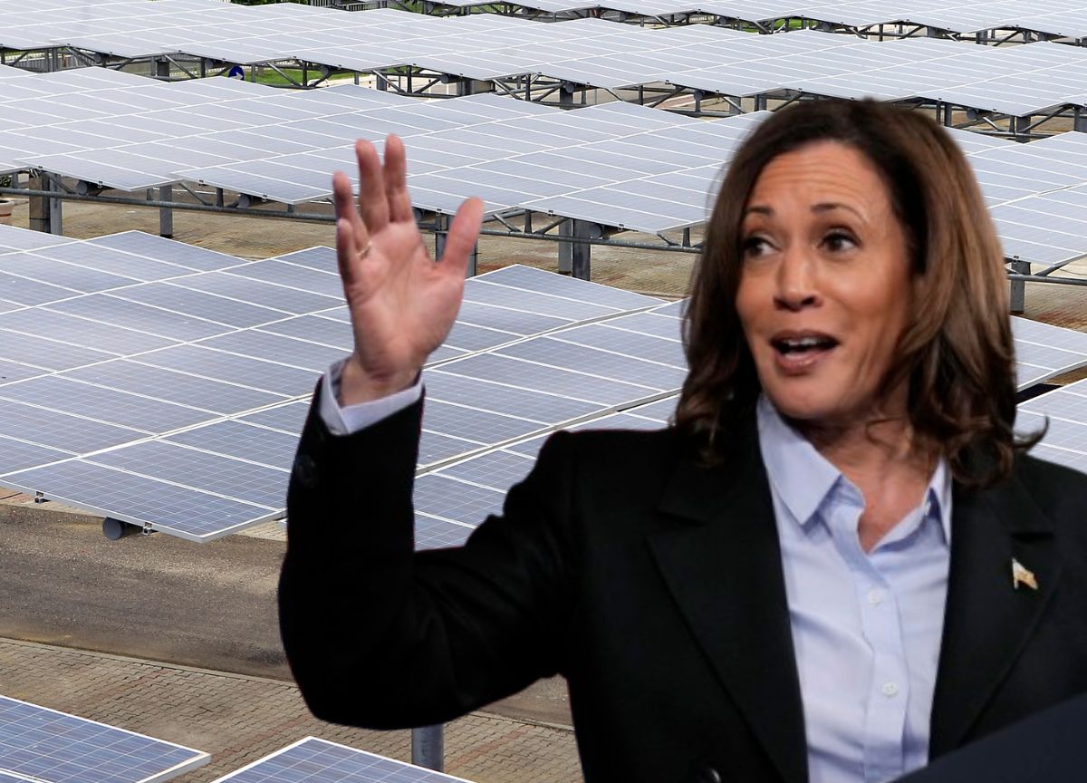 Usa, effetto Harris: a Wall Street volano le imprese del fotovoltaico Usa, effetto Harris: a Wall Street volano le imprese del fotovoltaico