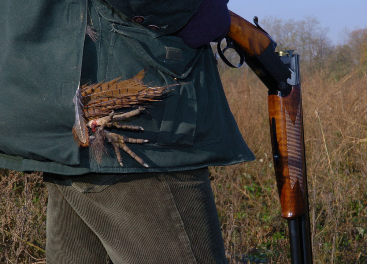 La caccia si apre col sangue: ferito un cacciatore di 73 anni: è gravissimo al Gemelli