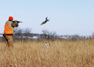La caccia si apre col sangue: ferito un cacciatore di 73 anni: è gravissimo al Gemelli