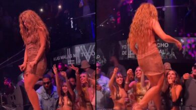 Il fan mette una telecamera sotto la gonna e Shakira abbandona stizzita il palco: il video virale