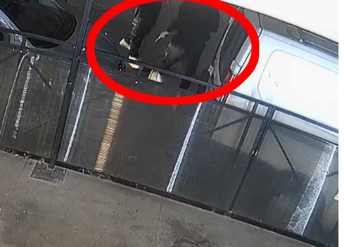 Incastrato dal video su TikTok: spari al Quarticciolo contro un bar chiuso: preso il cecchino Incastrato dal video su TikTok: spari al Quarticciolo contro un bar chiuso: preso il cecchino