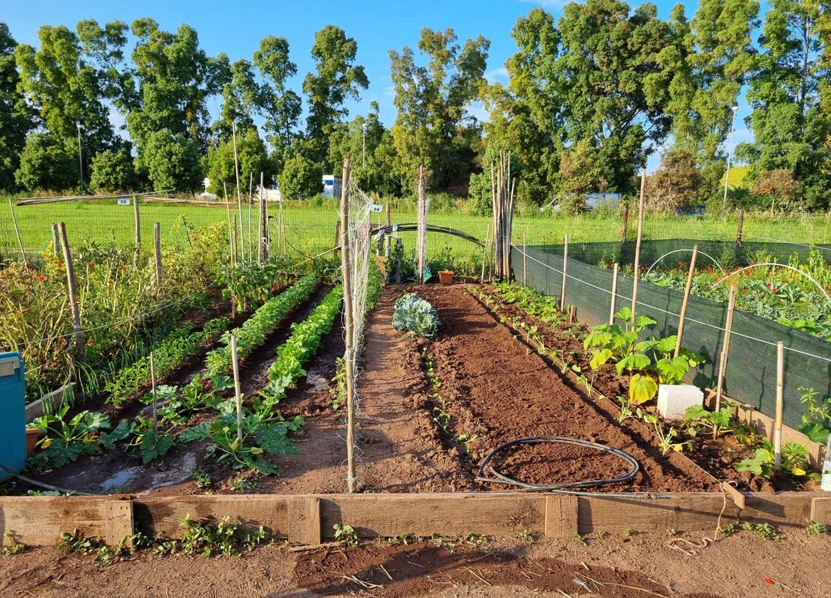 Cercasi pastori disperatamente: al Divino Amore la festa per riscoprire un lavoro a rischio estinzione