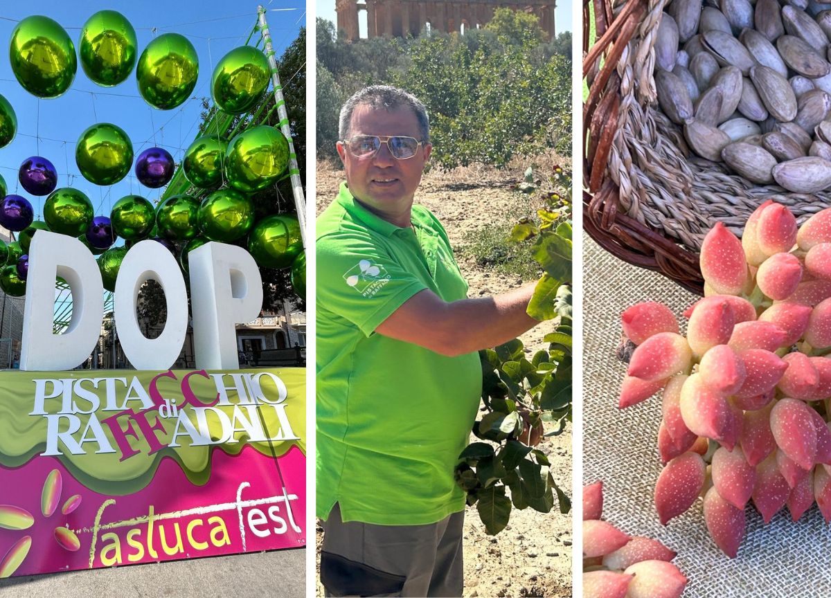 Galleria foto 'Fastuca Fest di Raffadali, un pistacchio Dop che strizza l’occhio al G7. FOTO' - foto 1