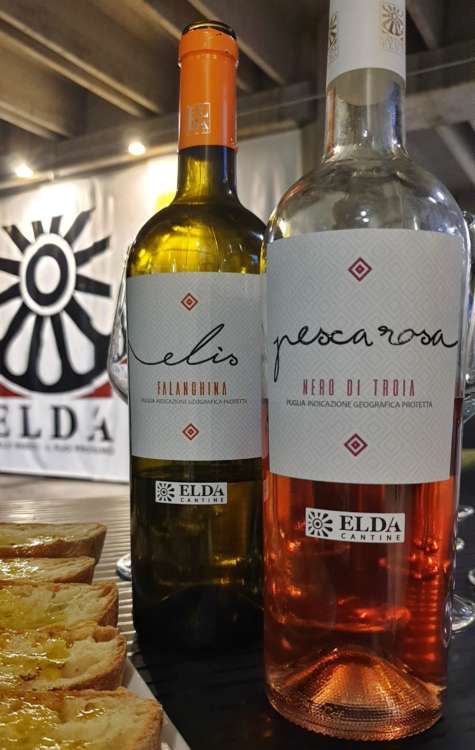 TRE BICCHIERI 2025, Puglia: i 26 migliori vini premiati dal Gambero Rosso TRE BICCHIERI 2025, Puglia: i 26 migliori vini premiati dal Gambero Rosso