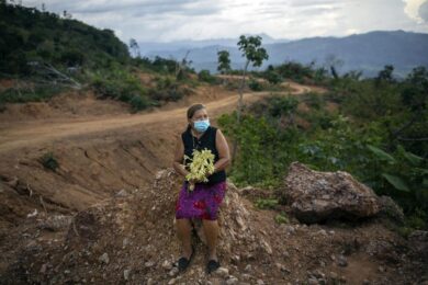 Green Deal, slitta il regolamento europeo sulla deforestazione: impatti negativi su commercio e agricoltura
