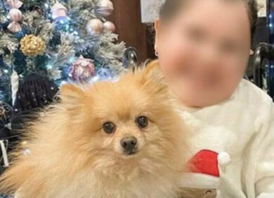 Napoli, i ladri ci ripensano: il cagnolino tanto amato torna a casa: “Lo facciamo per Miriam, siamo onesti”