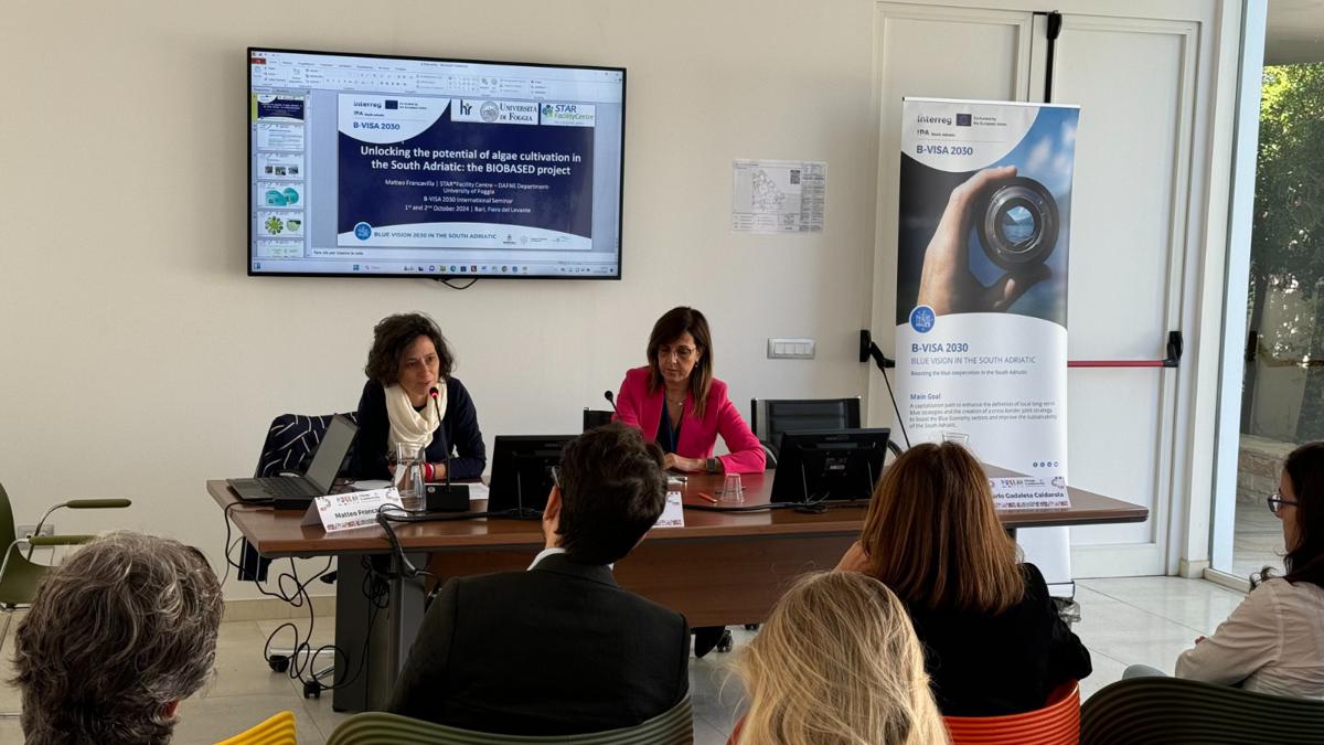 FdL, Puglia, Albania e Montenegro: sinergie adriatiche e Blue Economy