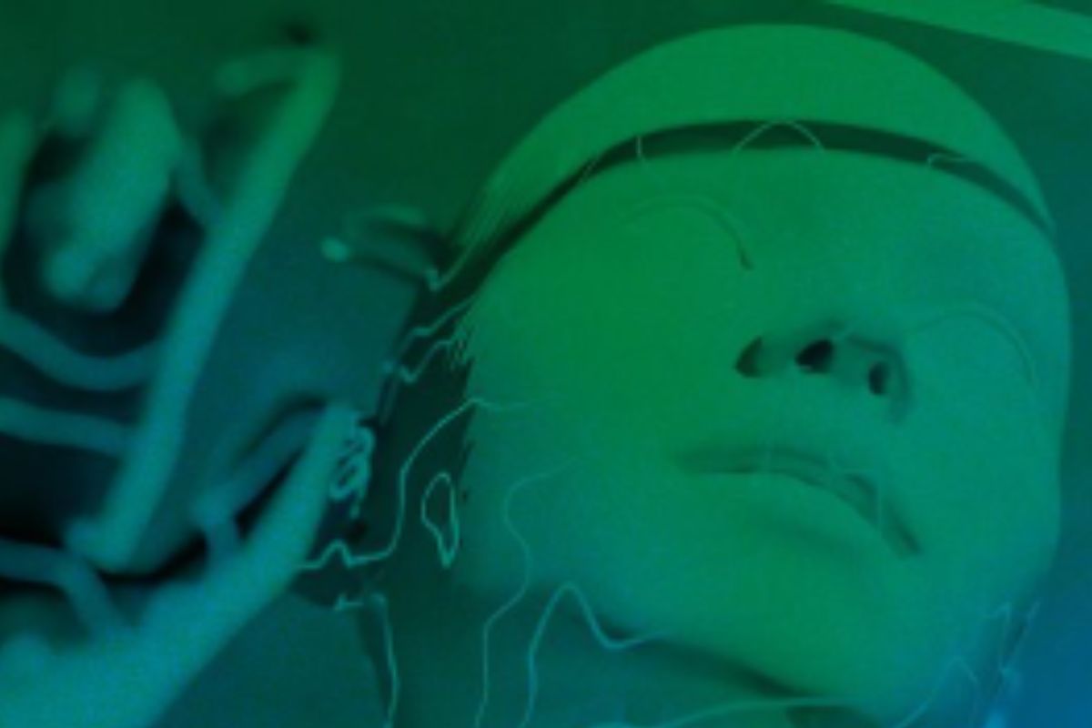 Torna il Verde e il Blu Festival, tre giorni di innovazione e sostenibilità tra Roma e Milano Torna il Verde e il Blu Festival, tre giorni di innovazione e sostenibilità tra Roma e Milano