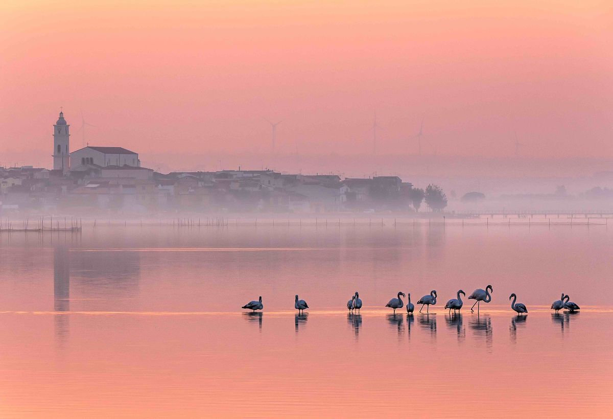 TTG, Lesina Laguna di Puglia: “Meta incontaminata e autentica” TTG, Lesina Laguna di Puglia: “Meta incontaminata e autentica”