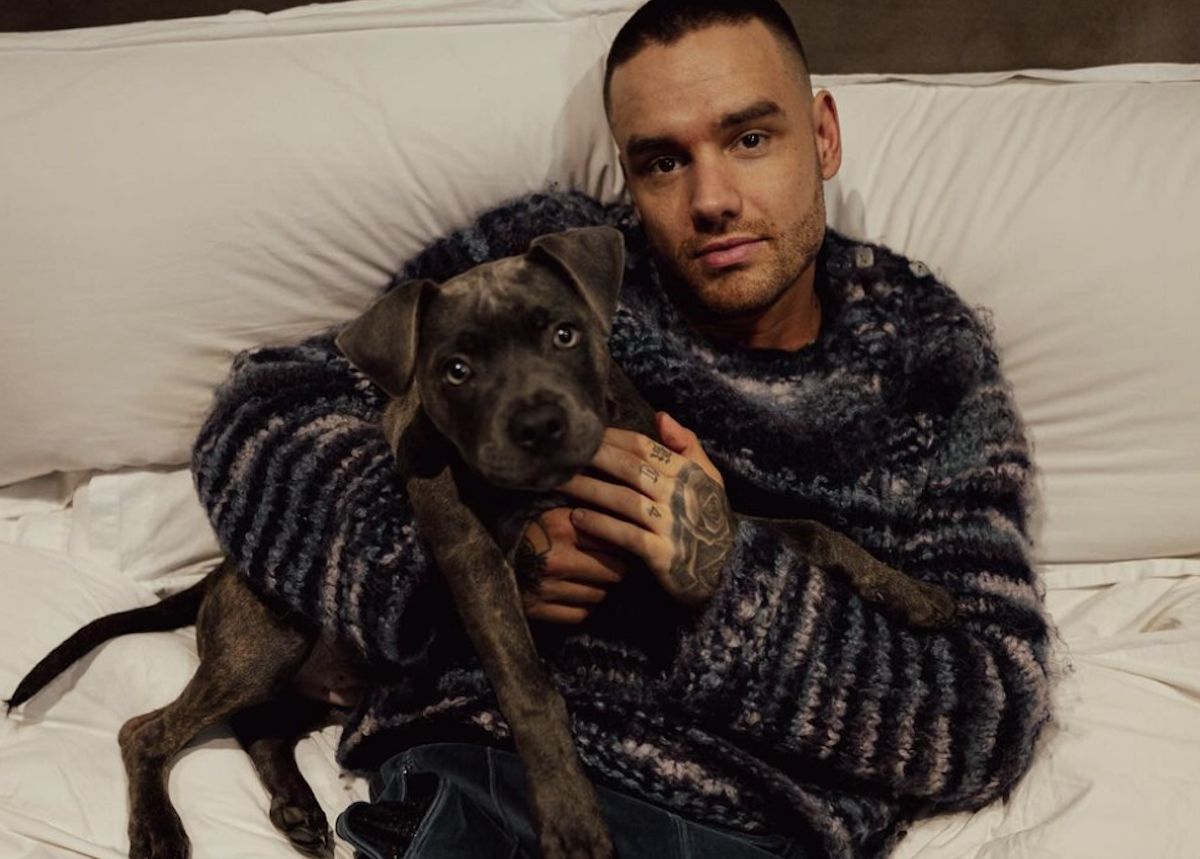 Chi era Liam Payne, l’ex One Direction trovato morto a Buenos Aires. Il giallo del volo dal terzo piano di un hotel Chi era Liam Payne, l’ex One Direction trovato morto a Buenos Aires. Il giallo del volo dal terzo piano di un hotel