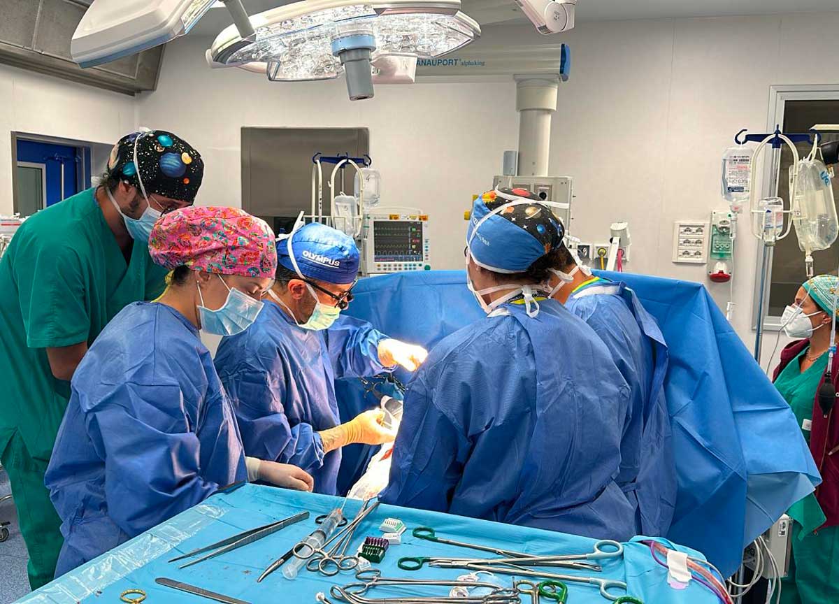 Buona Sanità, primato San Camillo-Forlanini: 7 trapianti in 24 ore. Chi sono i medici della maratona. I pazienti fuori pericolo