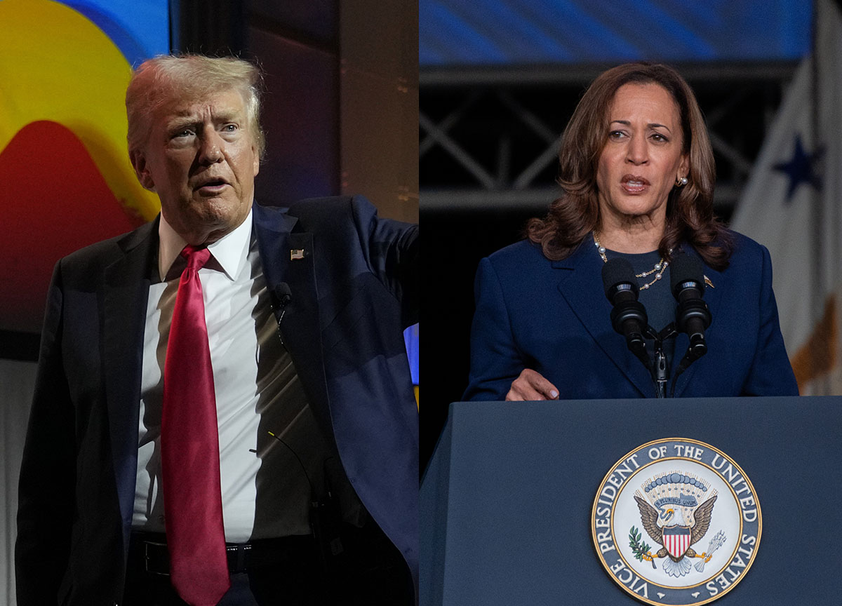 Usa 2024, tra Trump e Harris sfida all’ultimo colpo: testa a testa nei sondaggi popolari Usa 2024, tra Trump e Harris sfida all’ultimo colpo: testa a testa nei sondaggi popolari