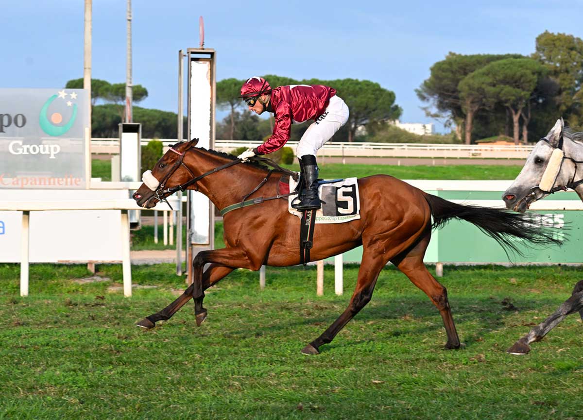Max Allegri fa festa a Capannelle nel Roma Champions Day. Mr Darcy trionfa nel Ribot, Petit Marin vince il Premio Roma