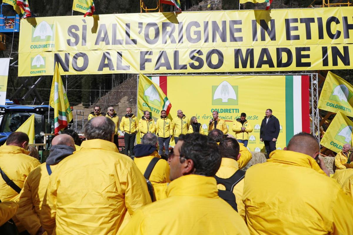 Granoro tra i fondatori della ‘Filiera Pasta’ col progetto ‘Dedicato’