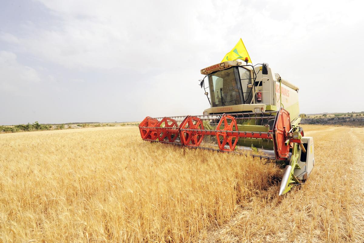 Granoro tra i fondatori della ‘Filiera Pasta’ col progetto ‘Dedicato’