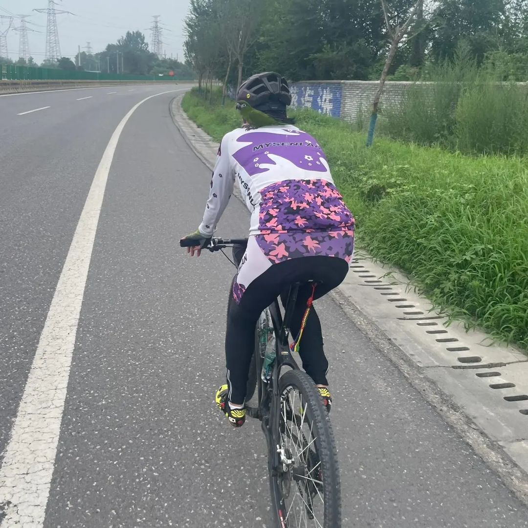 La Via della Seta in bicicletta: da Venezia a Pechino in soli 100 giorni, la grande impresa di un ciclista 63enne La Via della Seta in bicicletta: da Venezia a Pechino in soli 100 giorni, la grande impresa di un ciclista 63enne