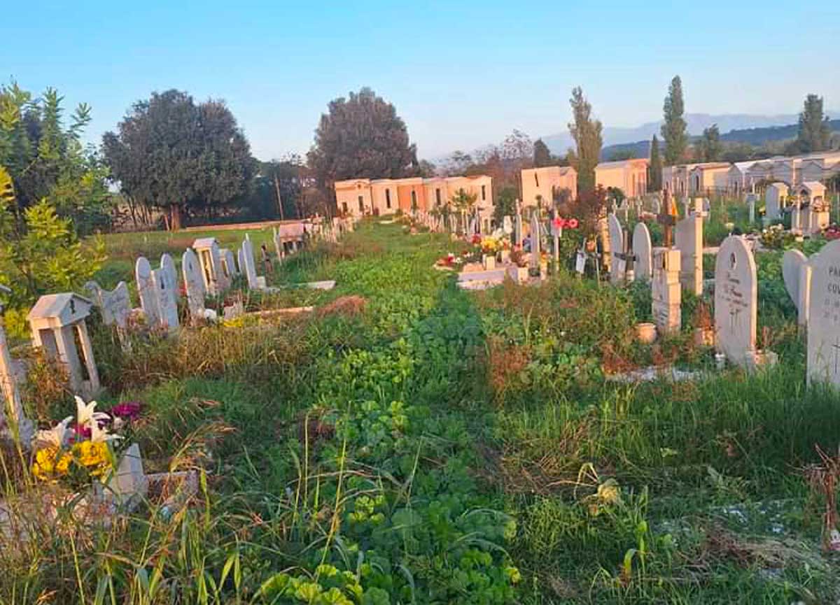 1 novembre l’omaggio ai morti: l’Ama lascia il cimitero Flaminio come una foresta e senza bus. Anziani a piedi coi fiori in mano 1 novembre l’omaggio ai morti: l’Ama lascia il cimitero Flaminio come una foresta e senza bus. Anziani a piedi coi fiori in mano