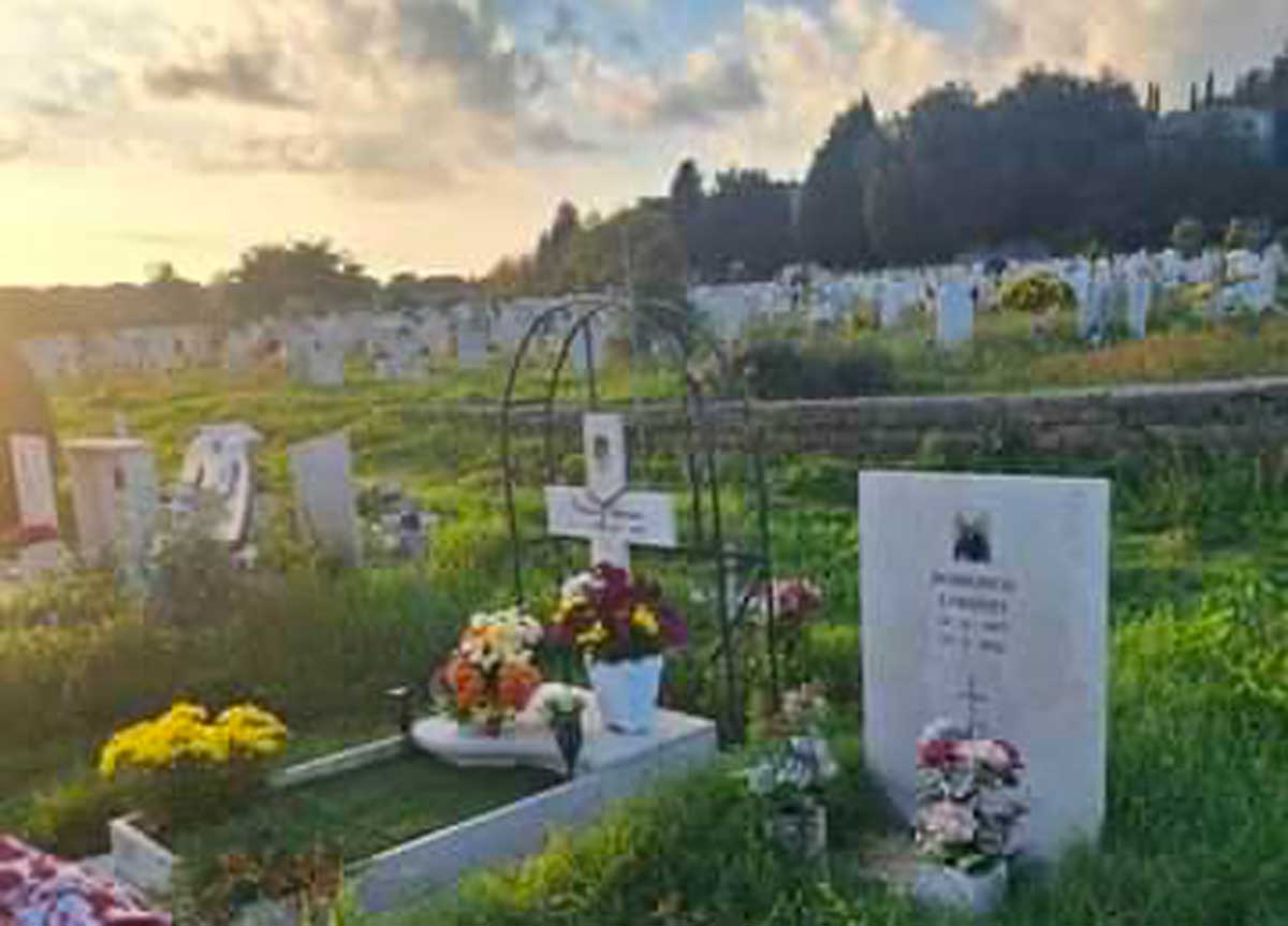 1 novembre l’omaggio ai morti: l’Ama lascia il cimitero Flaminio come una foresta e senza bus. Anziani a piedi coi fiori in mano 1 novembre l’omaggio ai morti: l’Ama lascia il cimitero Flaminio come una foresta e senza bus. Anziani a piedi coi fiori in mano