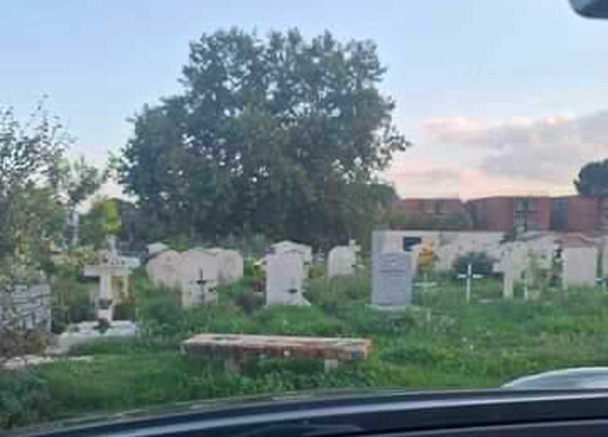 1 novembre l’omaggio ai morti: l’Ama lascia il cimitero Flaminio come una foresta e senza bus. Anziani a piedi coi fiori in mano 1 novembre l’omaggio ai morti: l’Ama lascia il cimitero Flaminio come una foresta e senza bus. Anziani a piedi coi fiori in mano