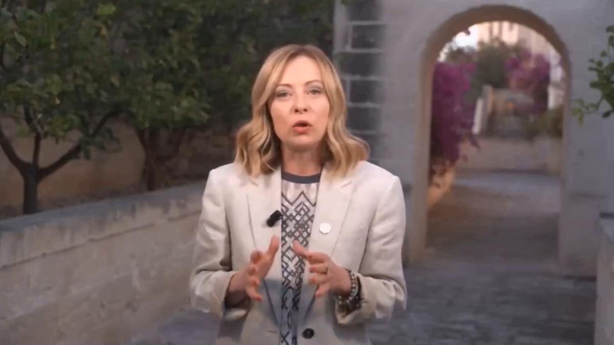 Appello a Giorgia Meloni: ‘Ci aiuti a salvare gli ulivi dalla Xylella’ Appello a Giorgia Meloni: ‘Ci aiuti a salvare gli ulivi dalla Xylella’