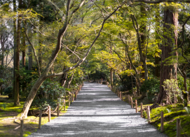 Ciclovie e Greenways: il turismo “slow” per scoprire il territorio e valorizzare l’ambiente