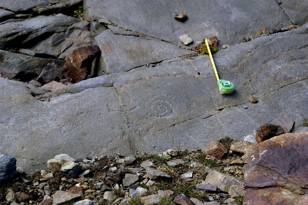Il ritiro dei ghiacciai in Valtellina fa emergere le incisioni rupestri più alte d’Europa Il ritiro dei ghiacciai in Valtellina fa emergere le incisioni rupestri più alte d’Europa