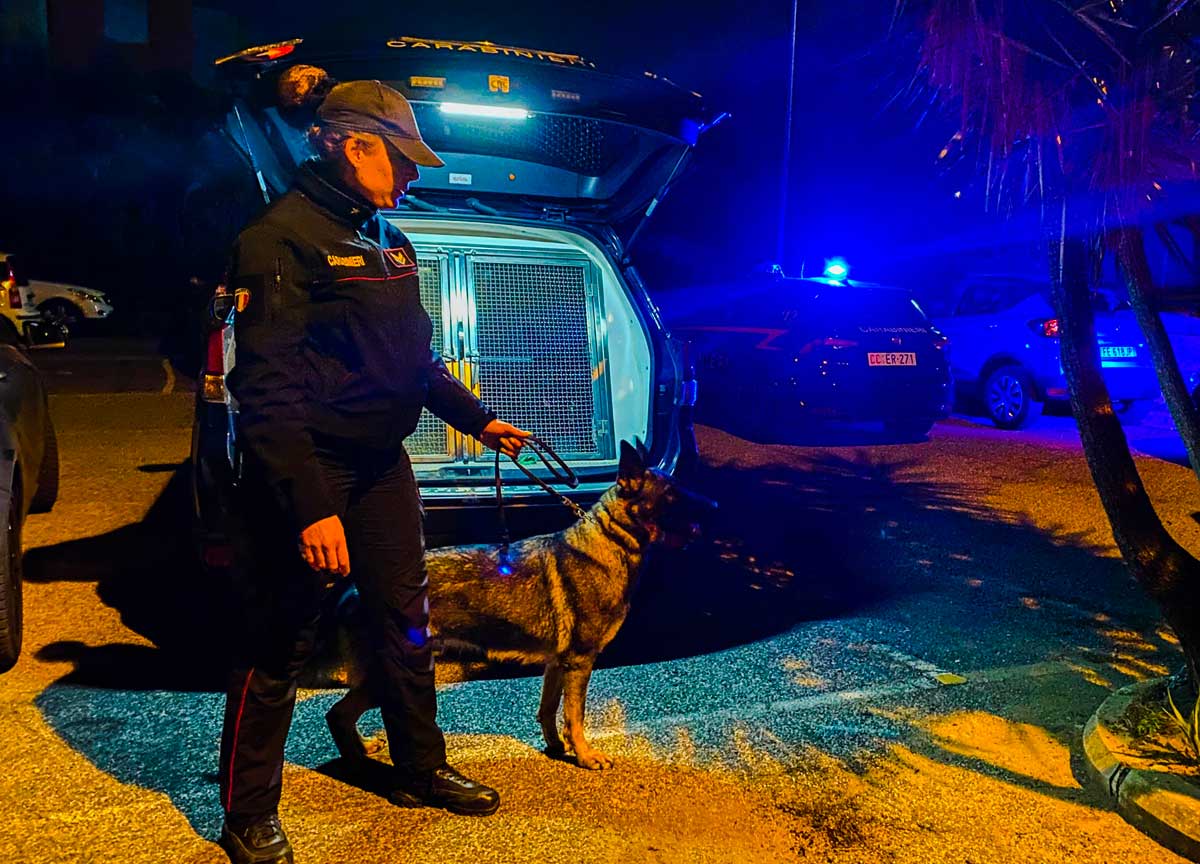 Roma, un fiume di cocaina intercettato dai Carabinieri: 20 arresti, tolti dal mercato 32 kg, avrebbero fruttato oltre 1,5 mln di euro