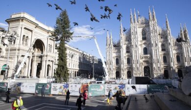 In piazza Duomo arriva l’albero di Natale: alto 42 metri, si ispira alle Olimpiadi 2026